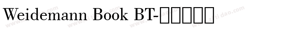 Weidemann Book BT字体转换